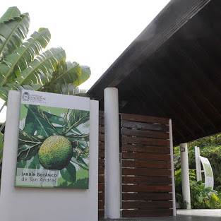 Sede Caribe Bibliotecas sede Caribe