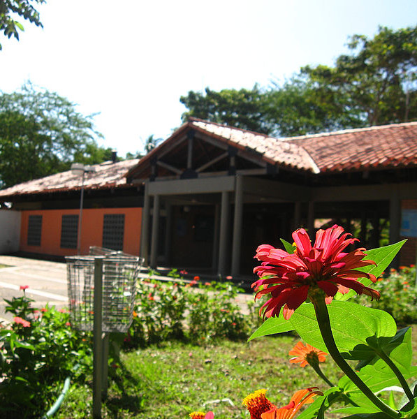 Bibliotecas sede Orinoquía